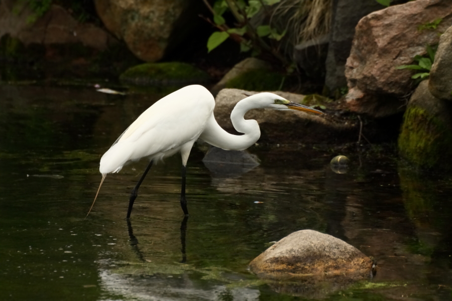 2013 05 11 IMG 06457
